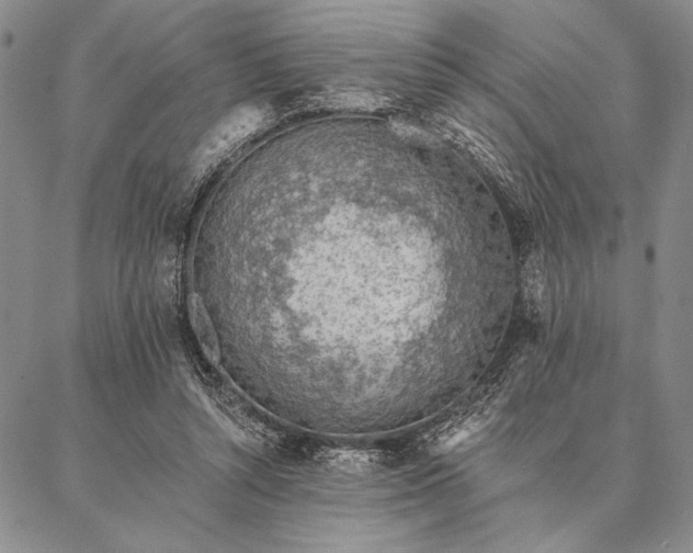 X0000087380352200704271603