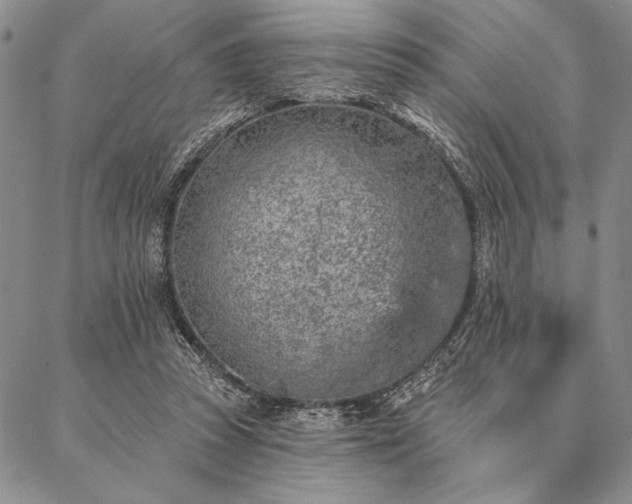 X0000087380353200704271603