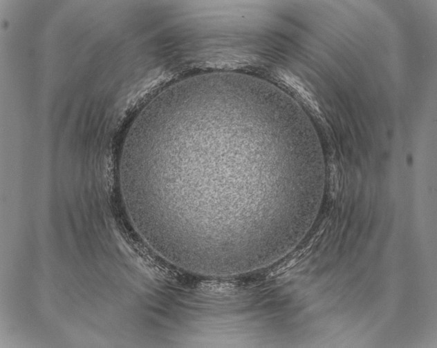 X0000087380354200704271603