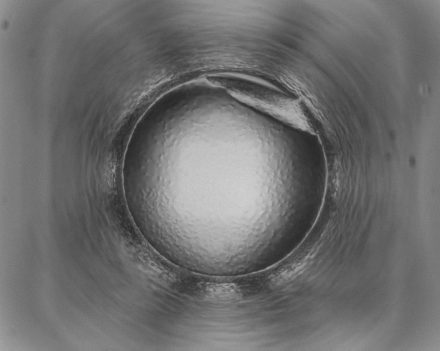 X0000087380355200704271603