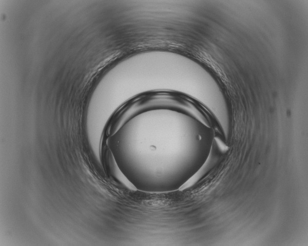 X0000087380356200704271603