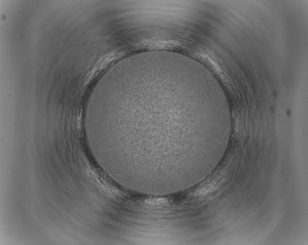 X0000087380357200704271603