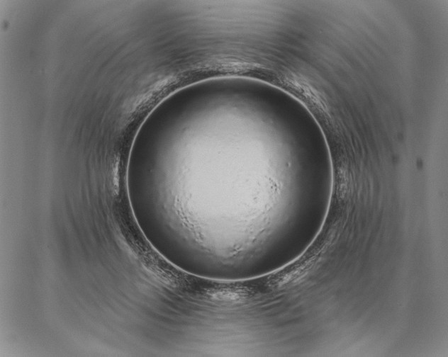 X0000087380358200704271603