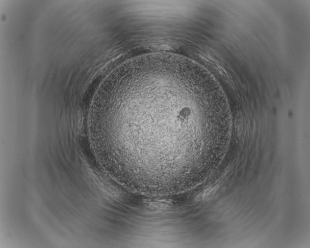 X0000087380359200704271603