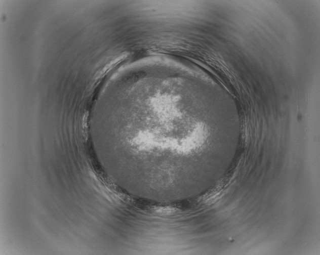 X0000087380360200704271603