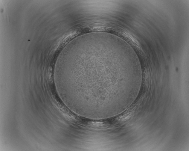 X0000087380361200704271603