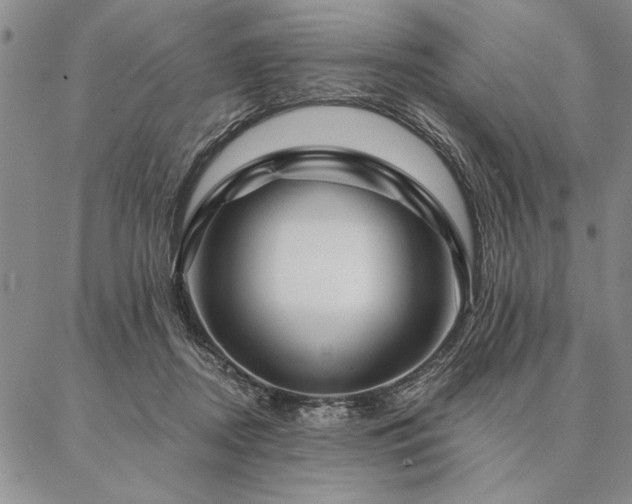 X0000087380362200704271603