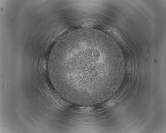 X0000087380363200704271603