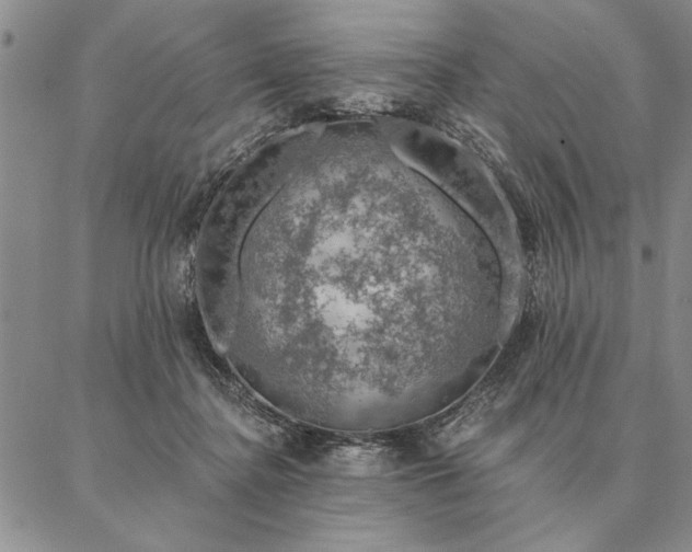 X0000087380364200704271603