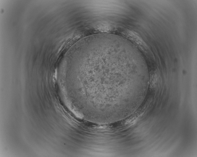 X0000087380365200704271603