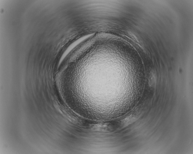 X0000087380366200704271603