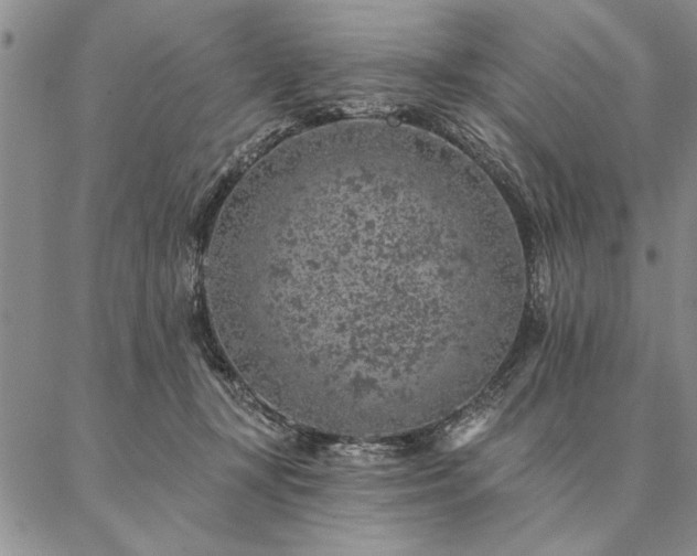 X0000087380367200704271603