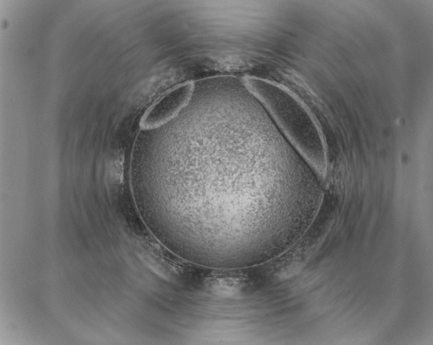 X0000087380368200704271603