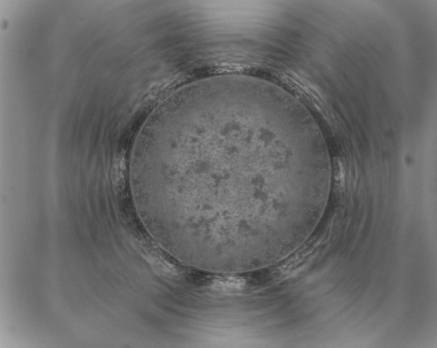 X0000087380369200704271603