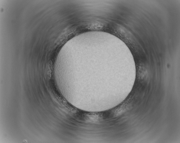 X0000087380370200704271603