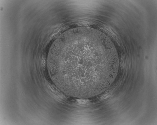 X0000087380371200704271603