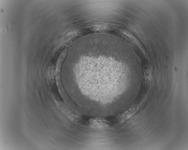 X0000087380372200704271603