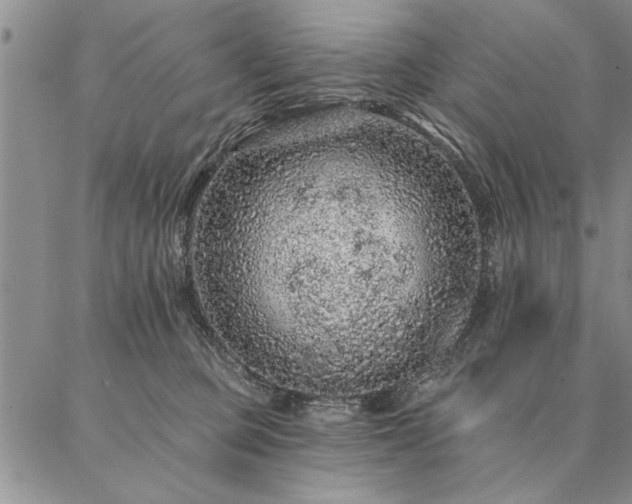 X0000087380373200704271603