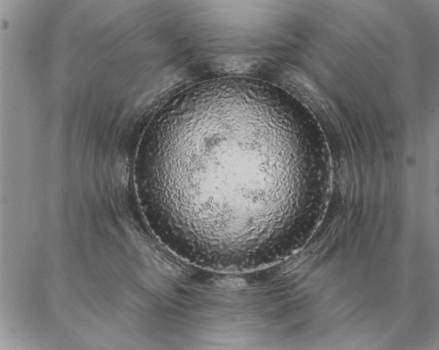 X0000087380374200704271603