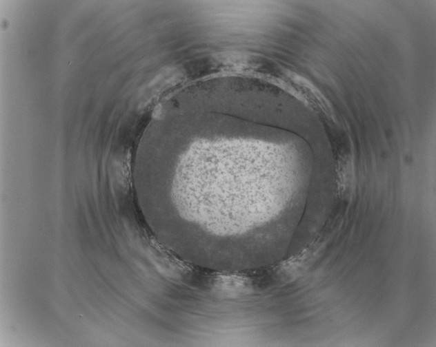 X0000087380376200704271603