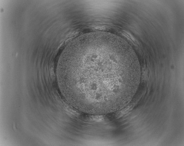 X0000087380377200704271603