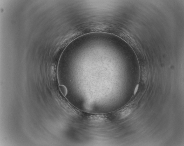 X0000087380378200704271603