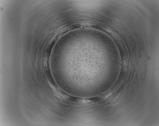 X0000087380379200704271603