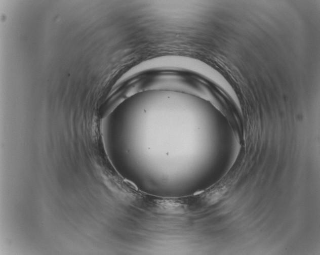 X0000087380380200704271603