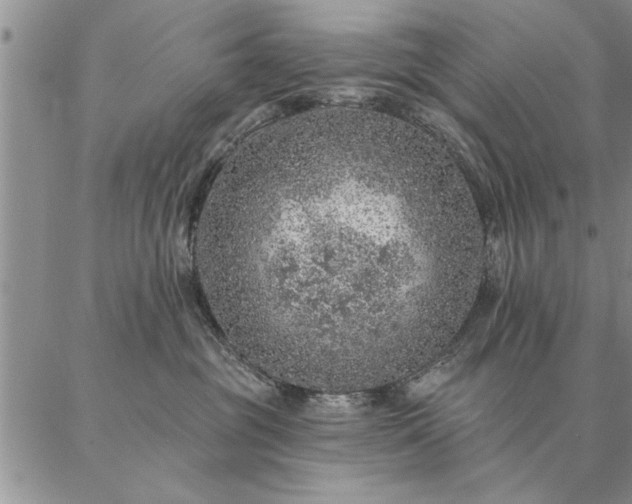 X0000087380381200704271603