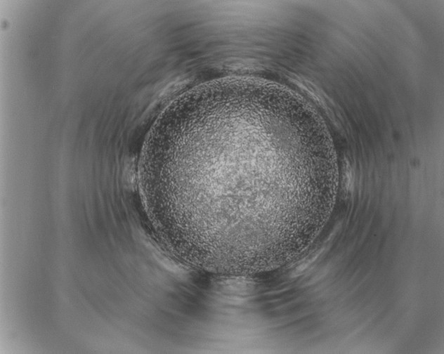 X0000087380383200704271603