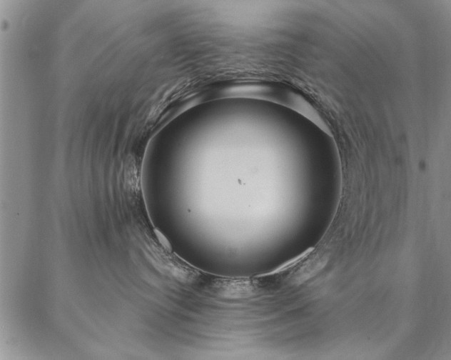 X0000087380384200704271603