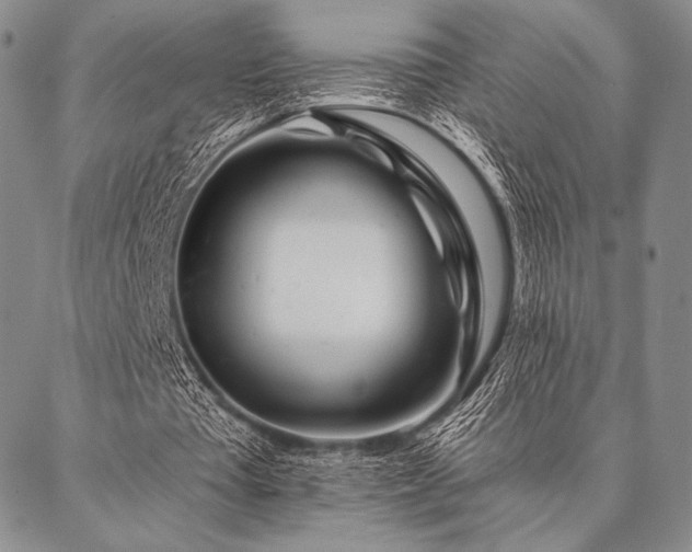 X0000087380385200704271602