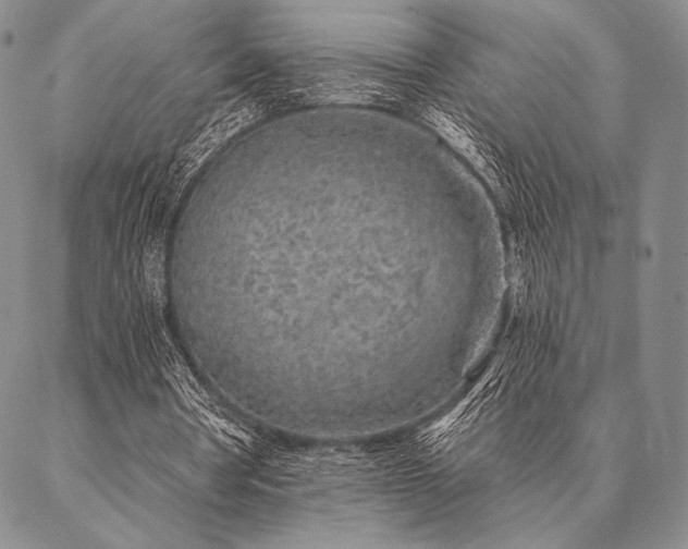 X0000087380386200704271602