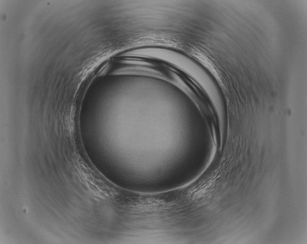 X0000087380387200704271602