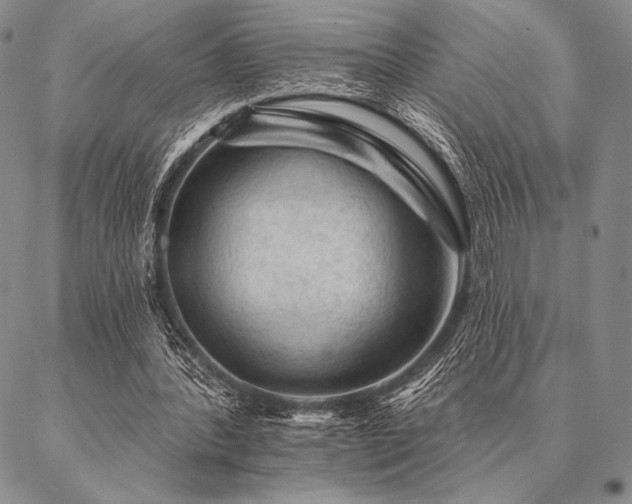 X0000087380388200704271602