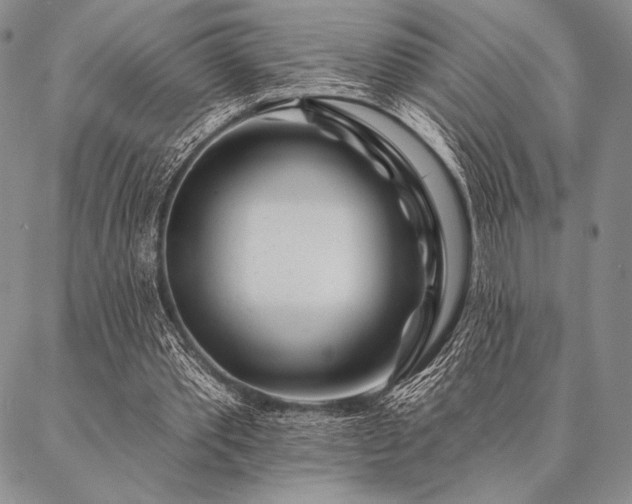 X0000087380389200704271602