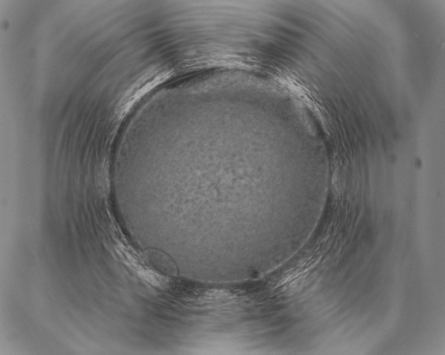 X0000087380390200704271602