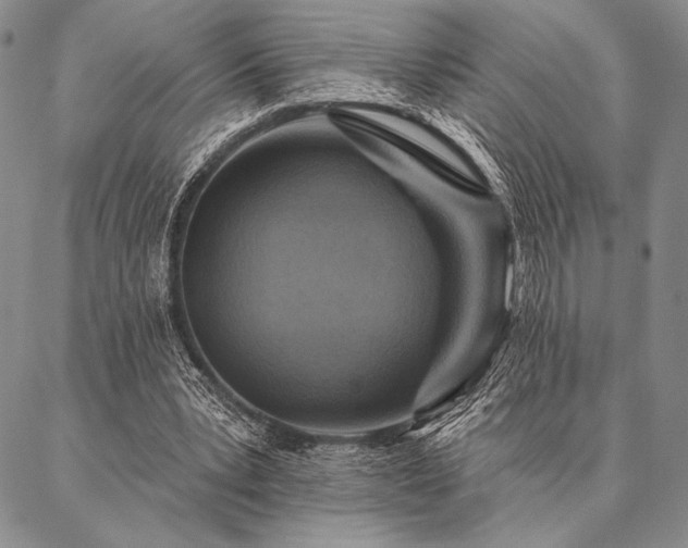 X0000087380391200704271602