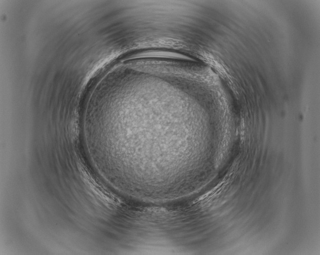 X0000087380392200704271602