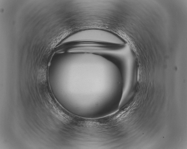 X0000087380393200704271602