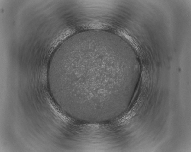 X0000087380394200704271602