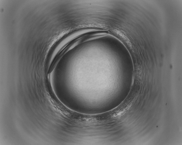 X0000087380395200704271602