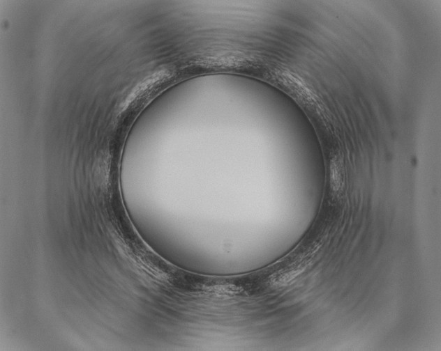 X0000087380396200704271602