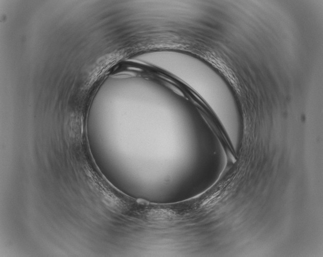 X0000087380397200704271602