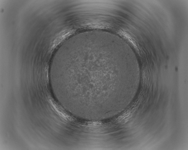 X0000087380398200704271602