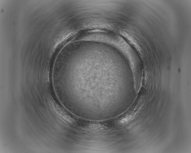 X0000087380399200704271602