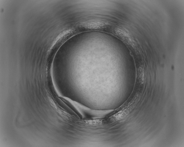 X0000087380400200704271602