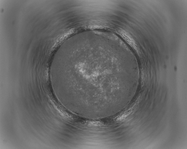 X0000087380401200704271602