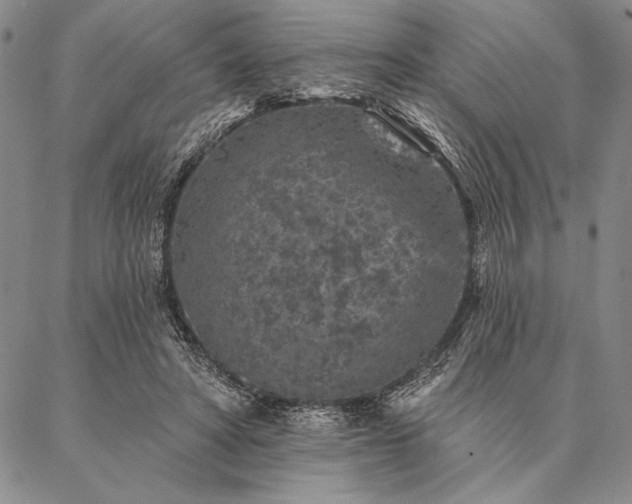 X0000087380402200704271602