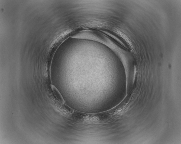 X0000087380403200704271602